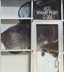 Perforated Window Film