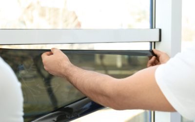 Four Benefits of Professional Window Tinting