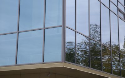 Enhancing Privacy with Office Window Tint: What You Need to Know