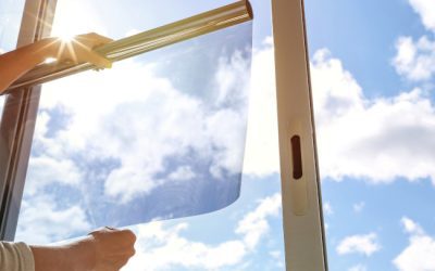 Should You Invest in Commercial UV Film?