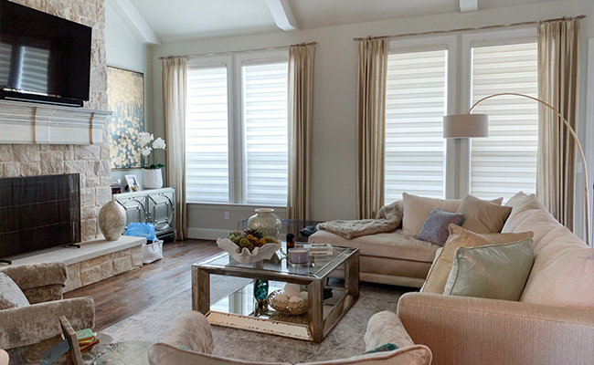 Zebra Shades Living Room